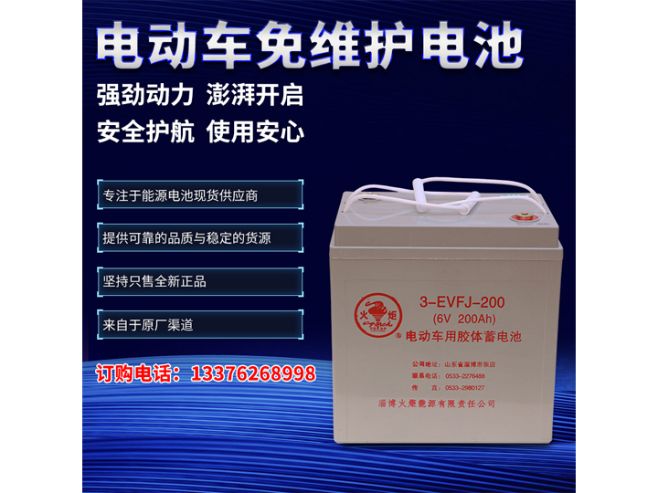 電動車免維護電池