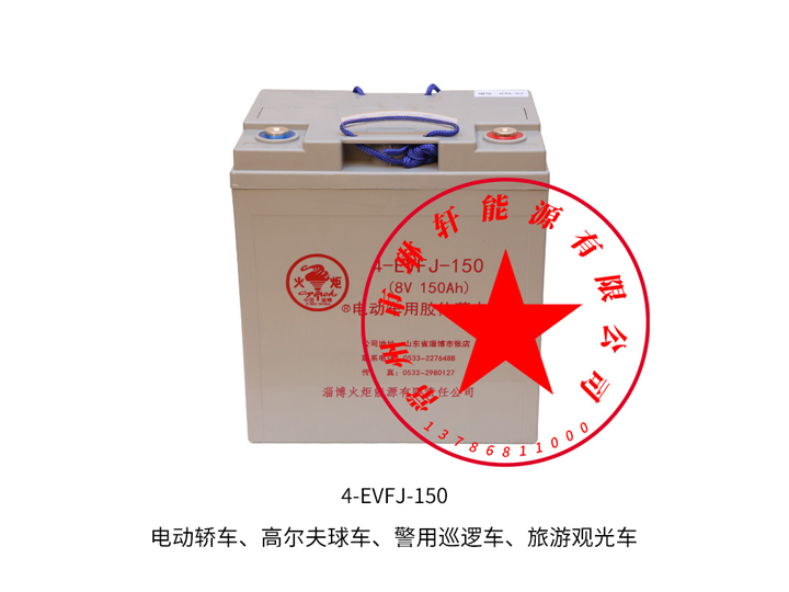 電動車免維護電池